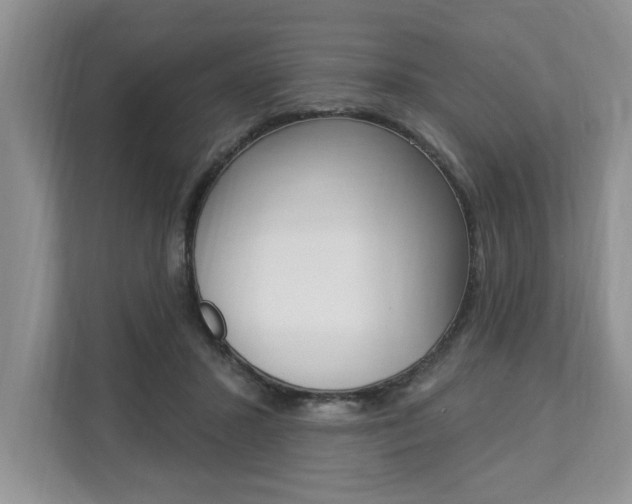 X0000112890407200908211034
