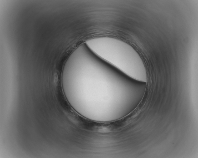 X0000112890412200908211034