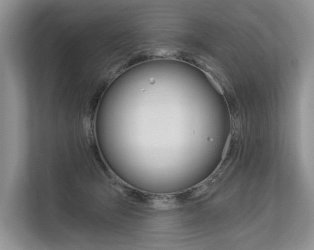 X0000112890415200908211034