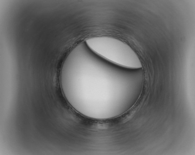 X0000112890416200908211034