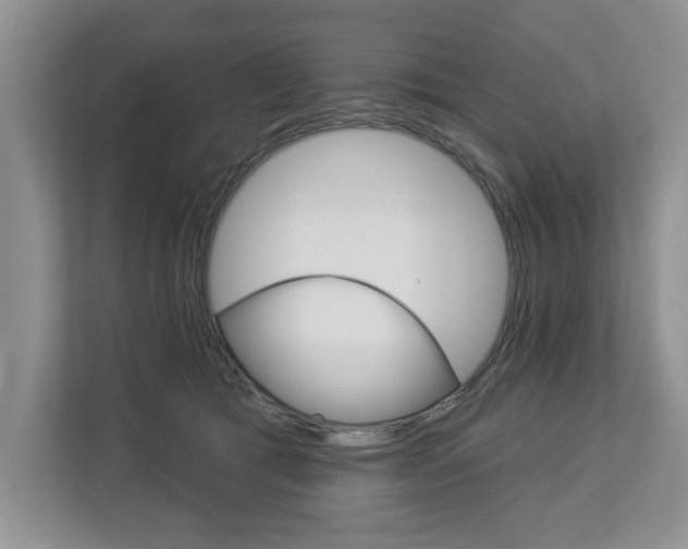 X0000112890417200908211034