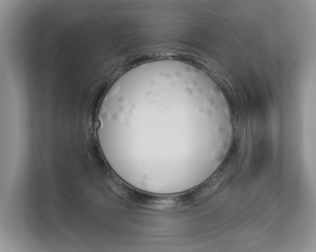 X0000112890418200908211034