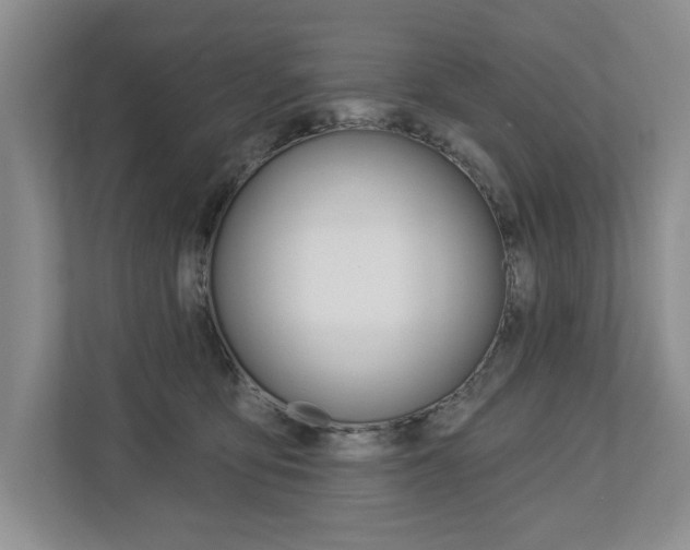 X0000112890419200908211034