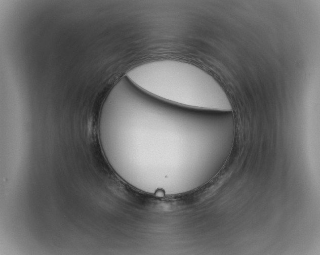 X0000112890420200908211034