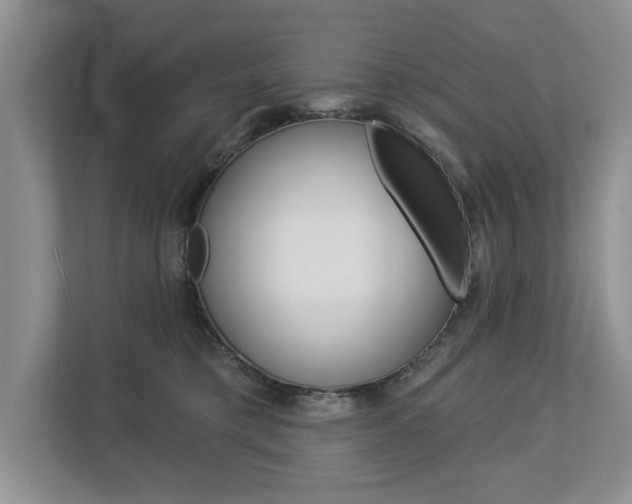X0000112890421200908211034