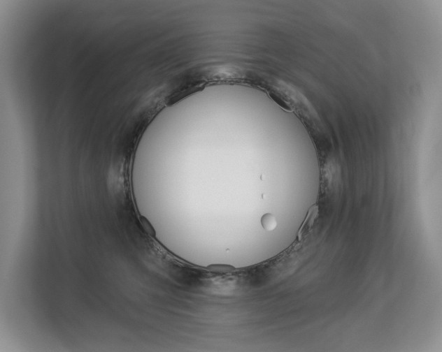 X0000112890423200908211034