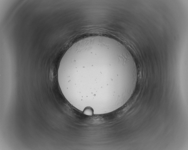 X0000112890424200908211034