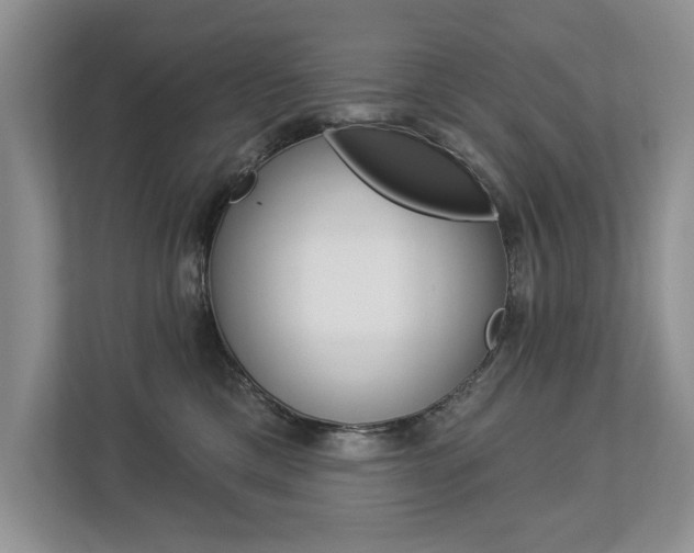 X0000112890425200908211034