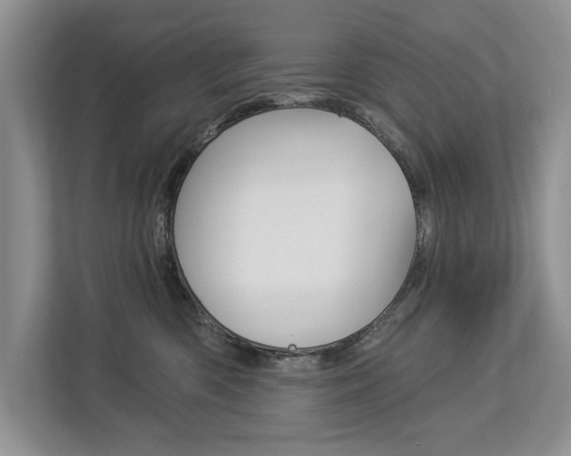 X0000112890426200908211034