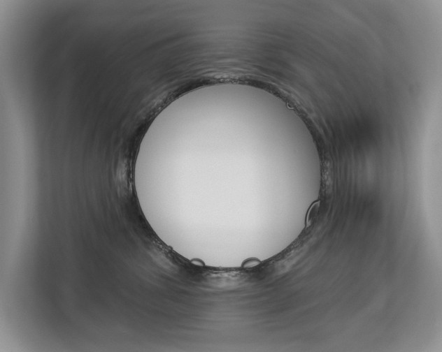 X0000112890428200908211034