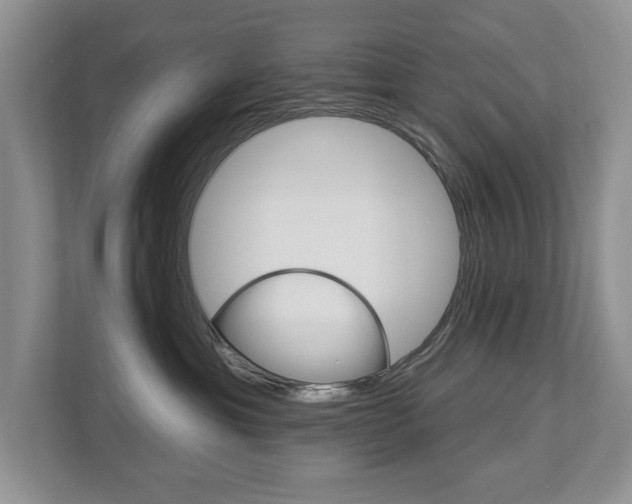 X0000112890429200908211034