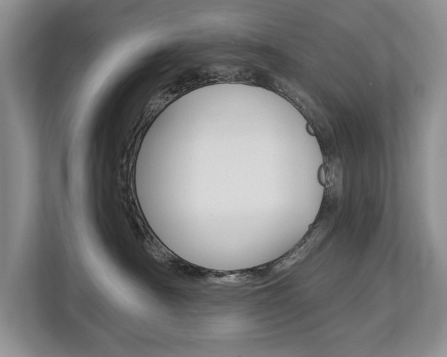 X0000112890430200908211034