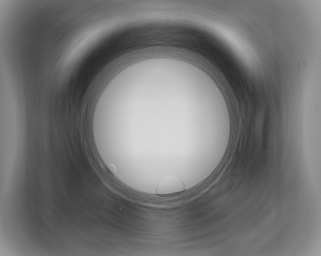X0000112890431200908211034