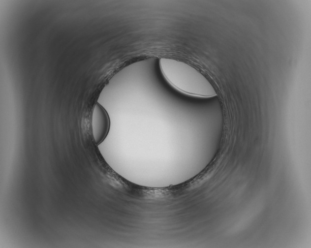 X0000112890432200908211034