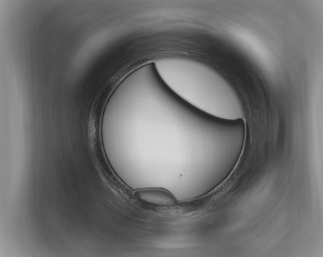 X0000112890435200908211033