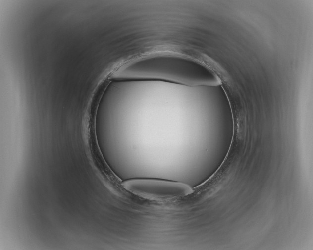 X0000112890436200908211033