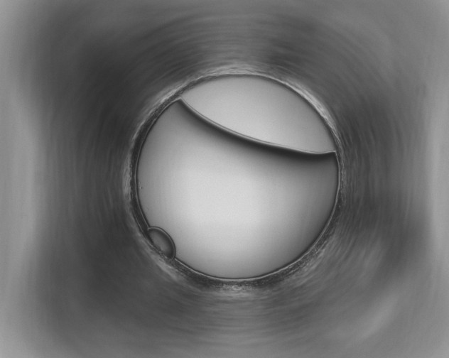 X0000112890437200908211033