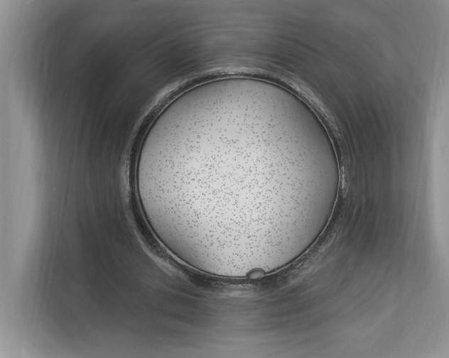 X0000112890438200908211033