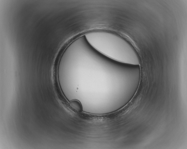 X0000112890439200908211033