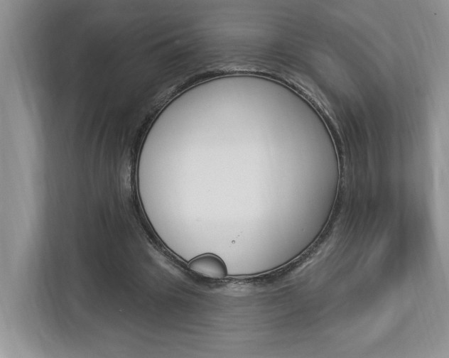 X0000112890441200908211033
