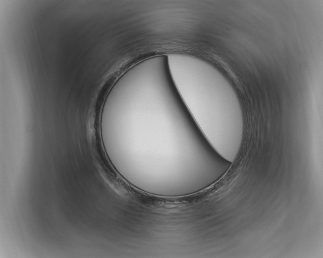 X0000112890443200908211033