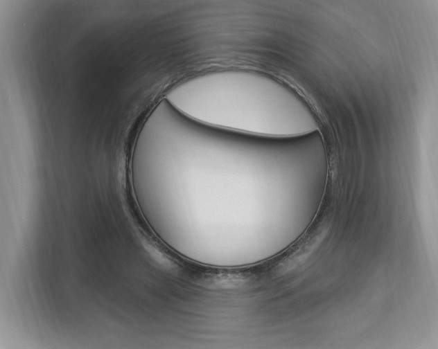 X0000112890445200908211033