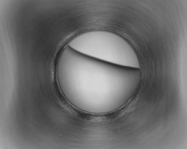 X0000112890446200908211033