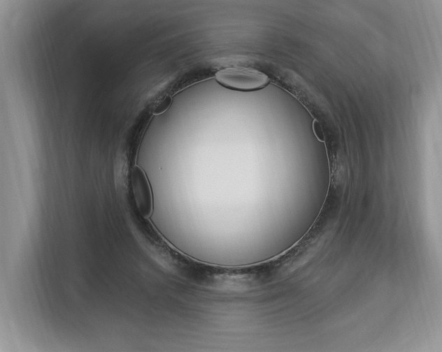 X0000112890448200908211033