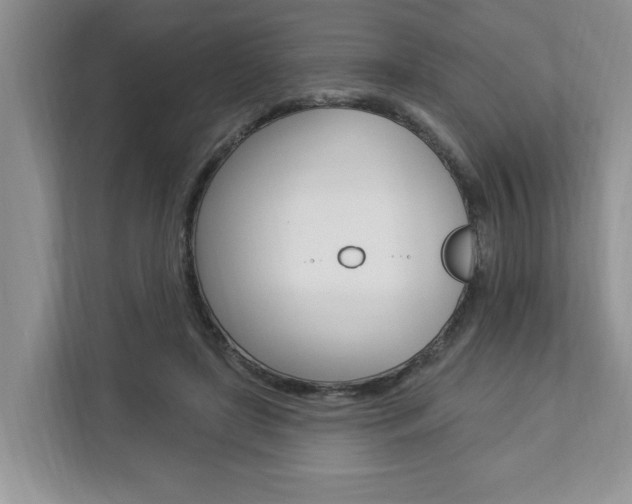 X0000112890451200908211033