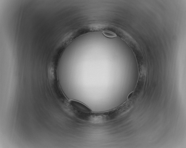 X0000112890452200908211033