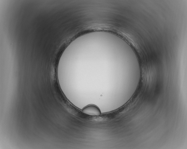 X0000112890453200908211033
