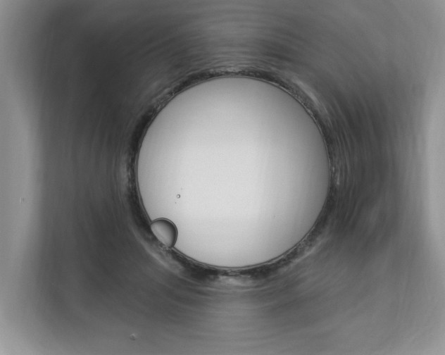 X0000112890455200908211033