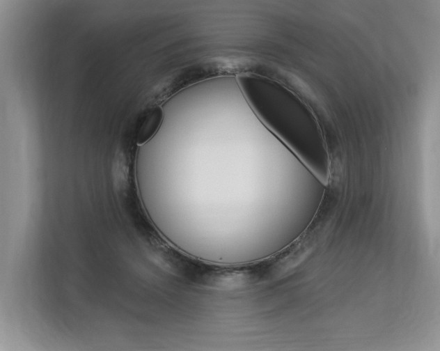 X0000112890456200908211033