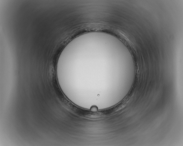 X0000112890459200908211033