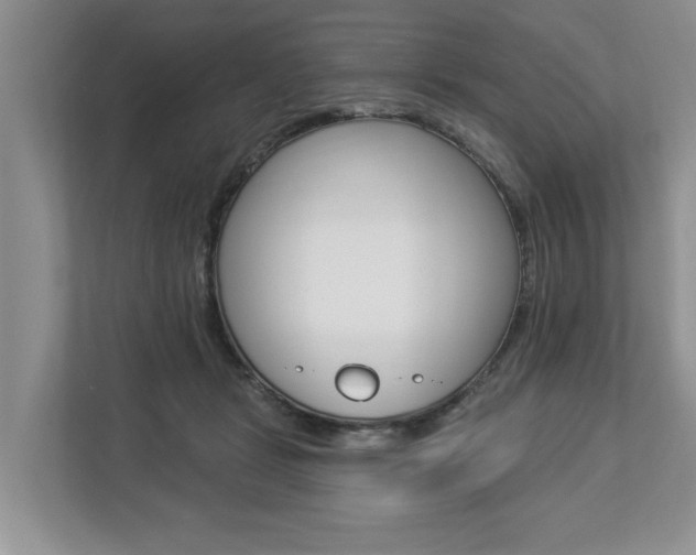X0000112890461200908211034