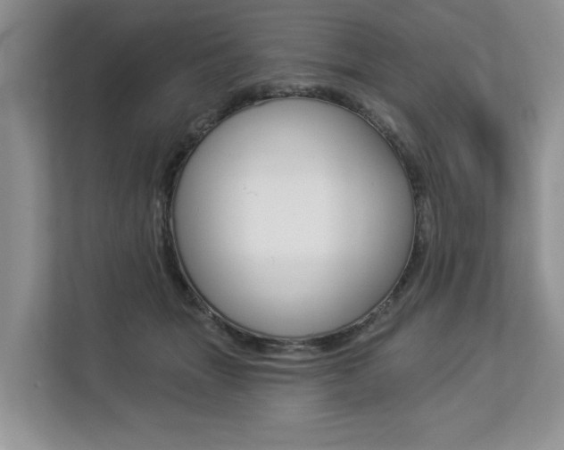 X0000112890463200908211034