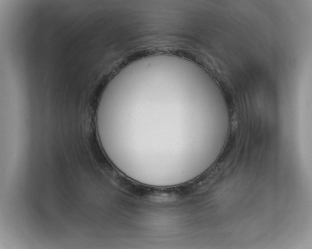 X0000112890464200908211034