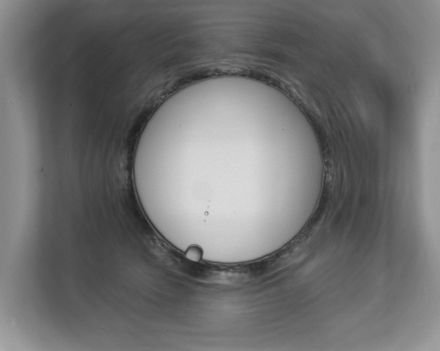 X0000112890466200908211034