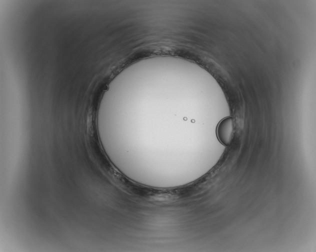 X0000112890468200908211034