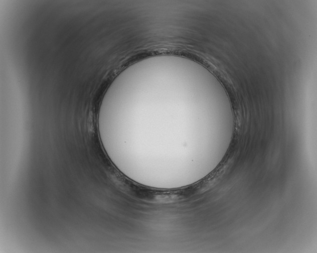 X0000112890470200908211034
