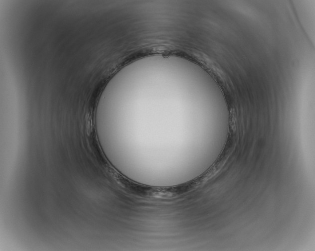 X0000112890471200908211034