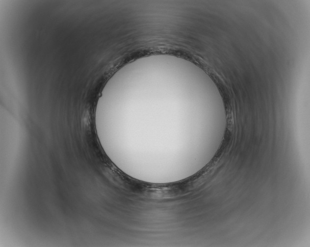 X0000112890472200908211034