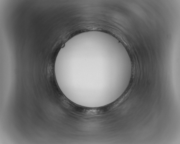 X0000112890473200908211034