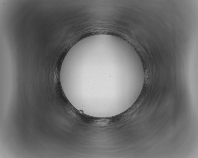 X0000112890474200908211034