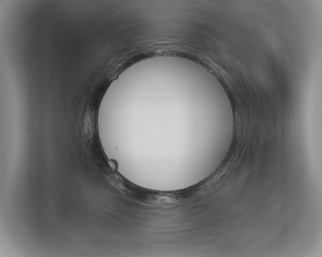 X0000112890475200908211034