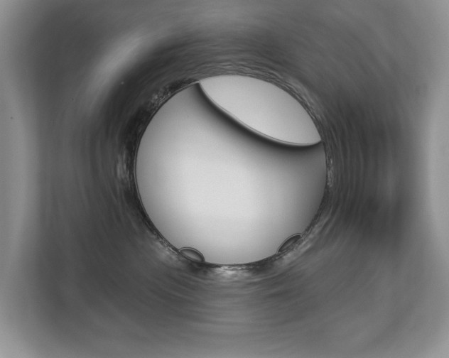 X0000112890477200908211034