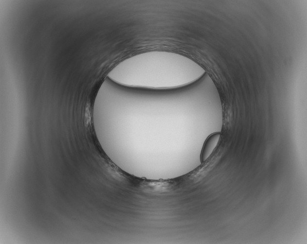 X0000112890478200908211034