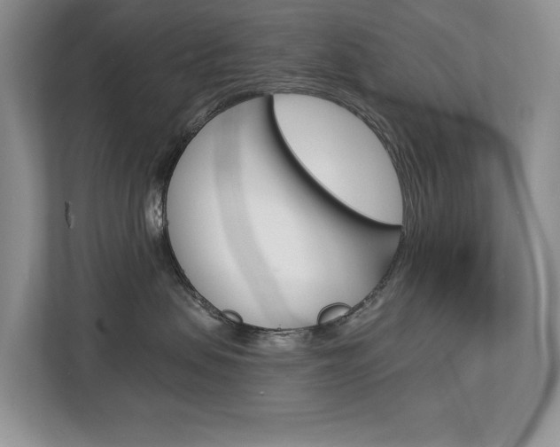 X0000112890479200908211034