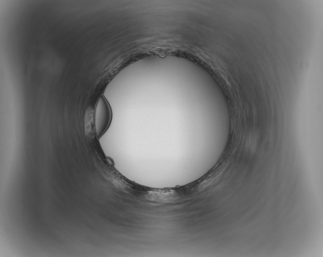X0000112890480200908211034
