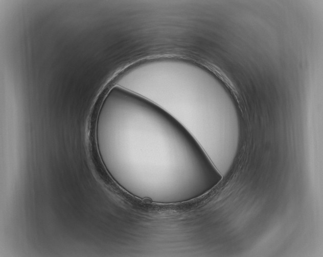 X0000112890483200908211033